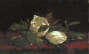 Martin Johnson Heade Magnolia Buds France oil painting reproduction